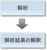 解析と結果の解釈